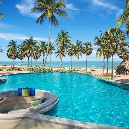 Jetwing Surf & Safari, A Luxury Reserve Arugam Bay Kültér fotó