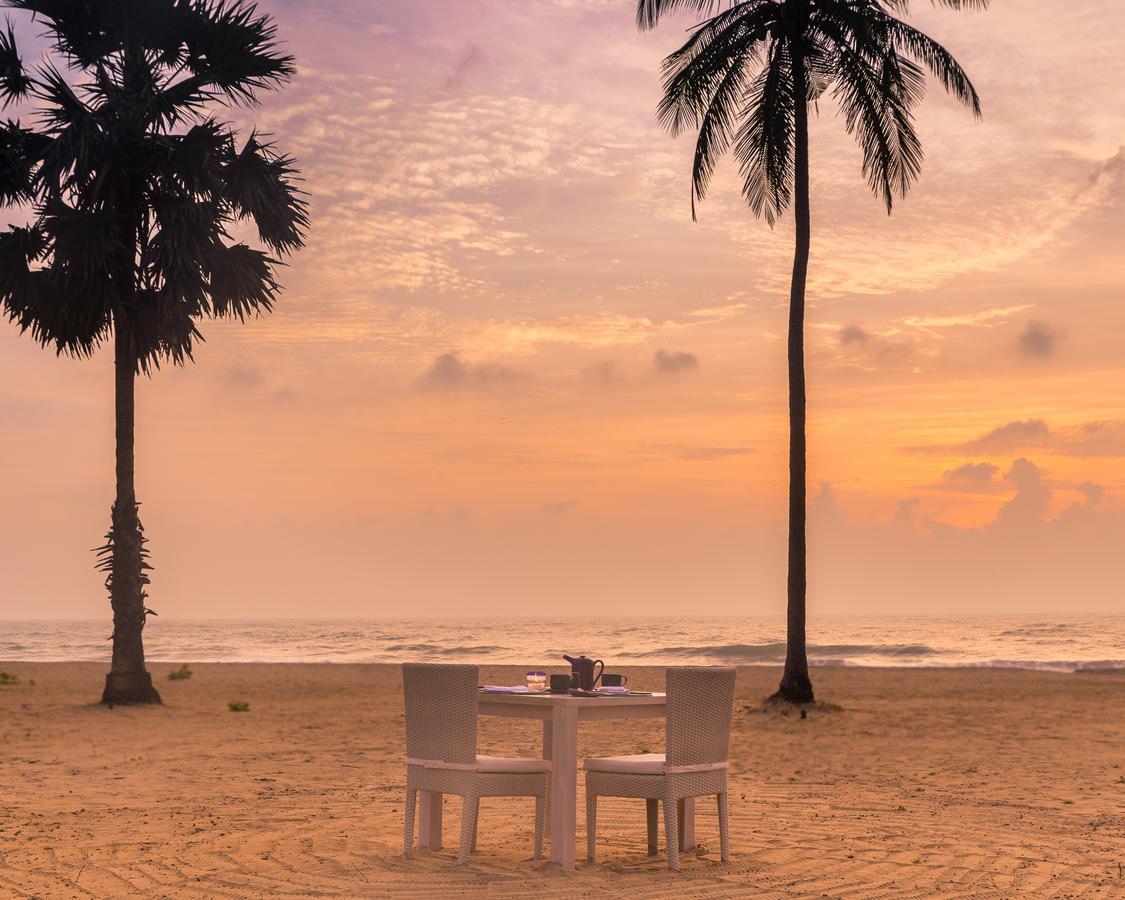 Jetwing Surf & Safari, A Luxury Reserve Arugam Bay Kültér fotó